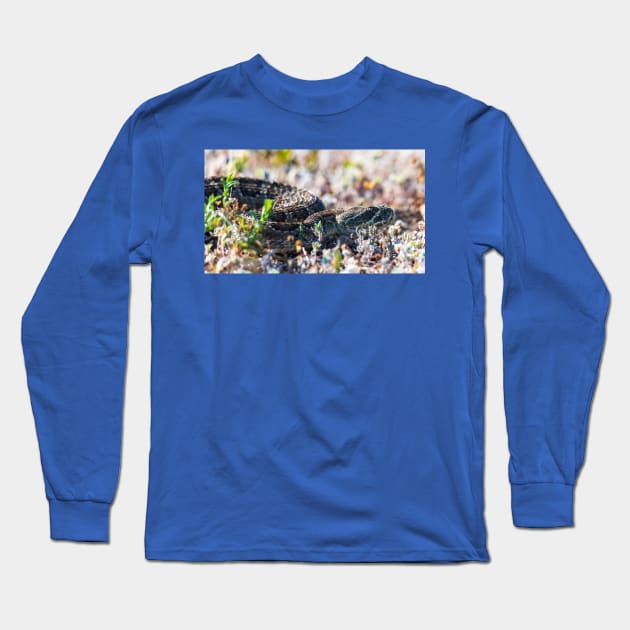 Snaking in the grass Long Sleeve T-Shirt by gdb2